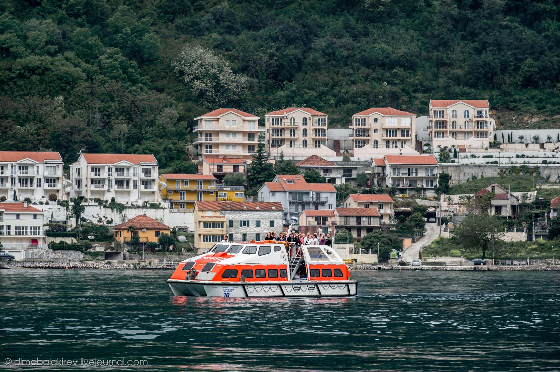 Kotor